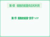 5.2 细胞的能量“货币”ATP（课件+练习）-2022-2023学年高一上学期生物人教版（2019）必修1