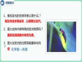 5.2 细胞的能量“货币”ATP（课件+练习）-2022-2023学年高一上学期生物人教版（2019）必修1