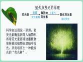 5.2 细胞的能量“货币”ATP（课件+练习）-2022-2023学年高一上学期生物人教版（2019）必修1