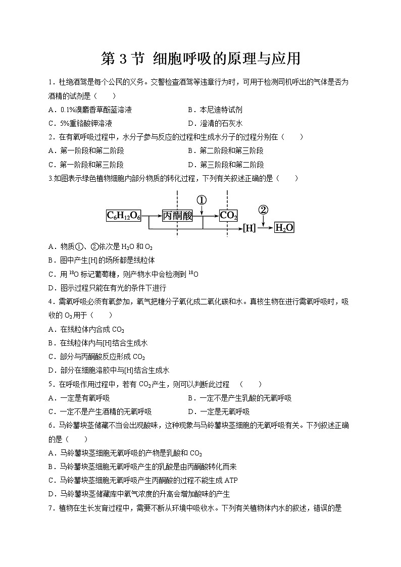 第5章第3节细胞呼吸的原理和应用第1页