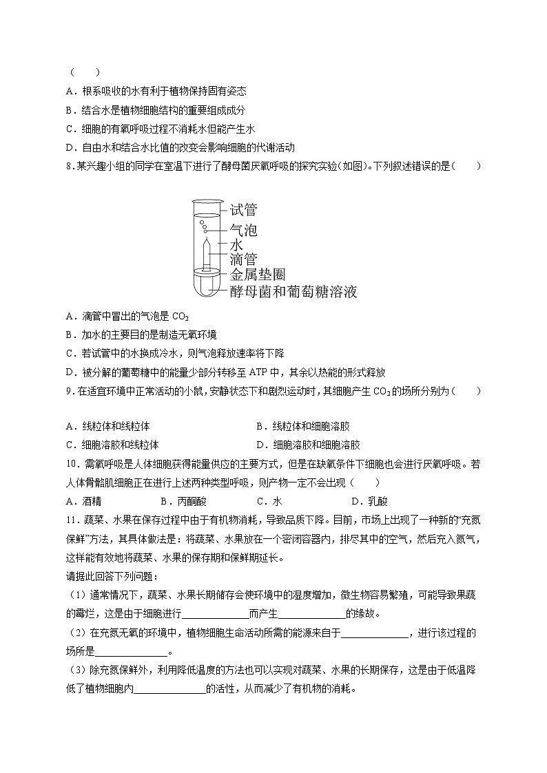 第5章第3节细胞呼吸的原理和应用第2页
