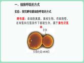 5.3 细胞呼吸的原理和应用（课件+练习）-2022-2023学年高一上学期生物人教版（2019）必修1