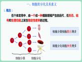 6.2 细胞的分化（课件+练习）-2022-2023学年高一上学期生物人教版（2019）必修1