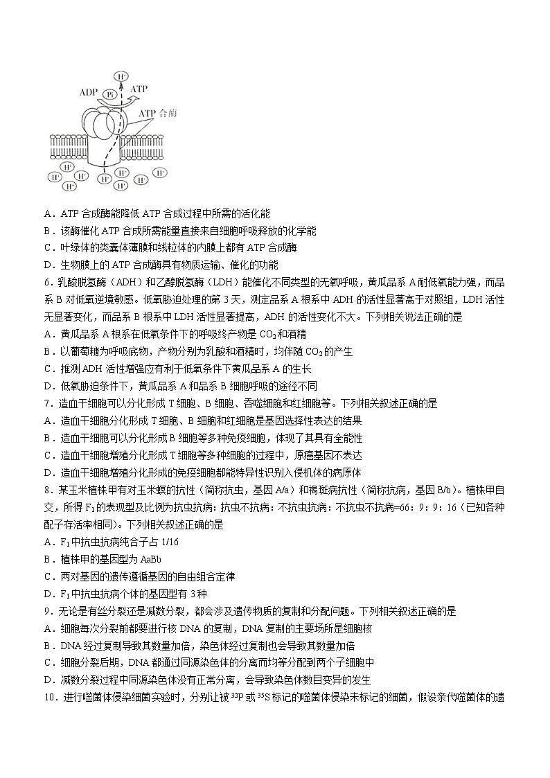 2023江西省“红色十校”高三上学期第一次联考试题生物含解析第2页