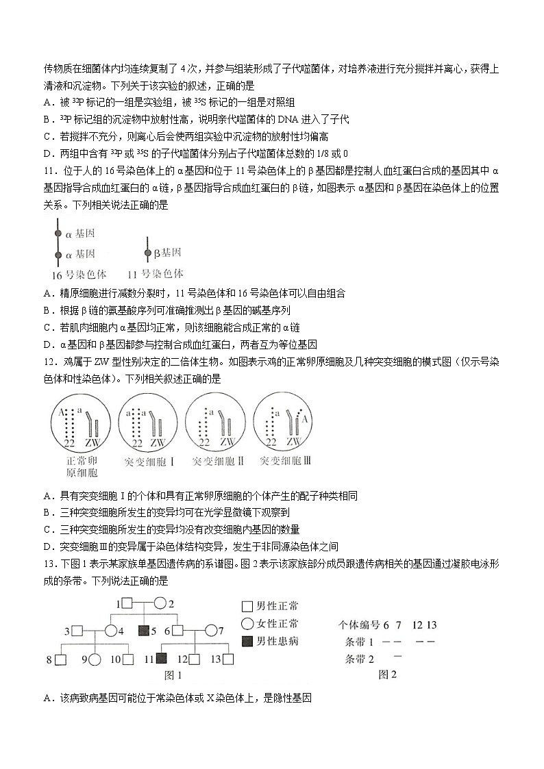 2023江西省“红色十校”高三上学期第一次联考试题生物含解析第3页