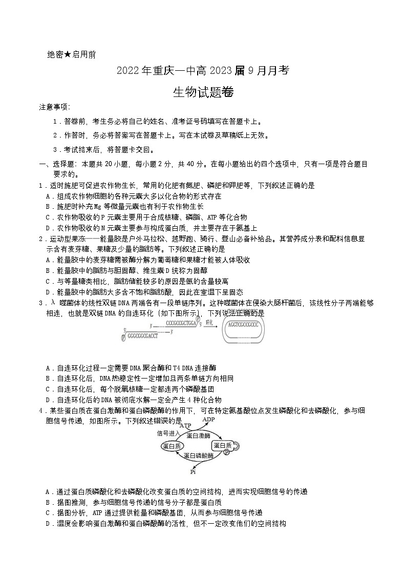 2023重庆市一中高三上学期9月月考生物试题含答案第1页