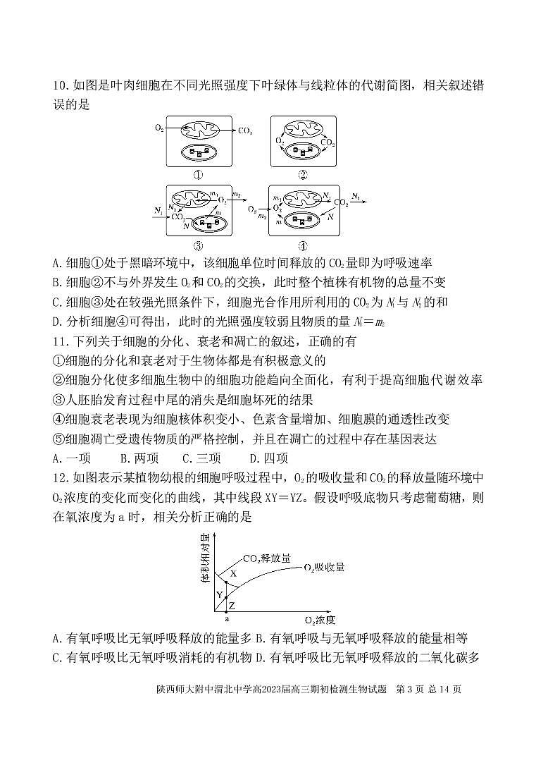 2023陕西师大附中、渭北中学等高三上学期期初检测联考生物试题PDF版无答案第3页