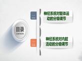 第二章：第4节：神经系统的分级调节课件高中生物人教选择性必修一
