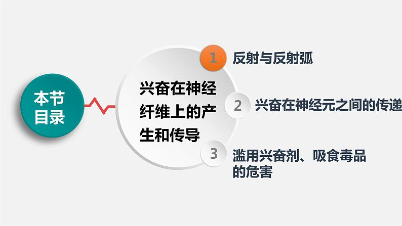 第二章第3节：神经冲动的产生和传导课件高中生物人教选择性必修一03