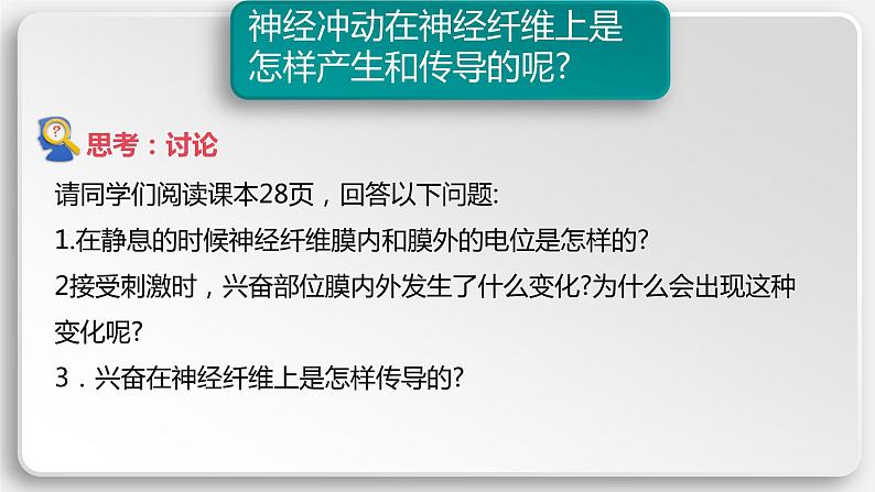 第二章第3节：神经冲动的产生和传导课件高中生物人教选择性必修一06