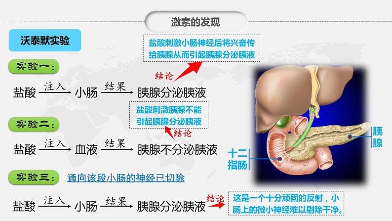 第三章：第1节：激素与内分泌系统课件高中生物人教选择性必修一第8页