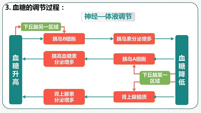 第三章：第2节：激素调节的过程课件高中生物人教选择性必修一第8页