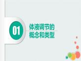 第三章：第3节：体液调节与神经调节的关系课件高中生物人教选择性必修一