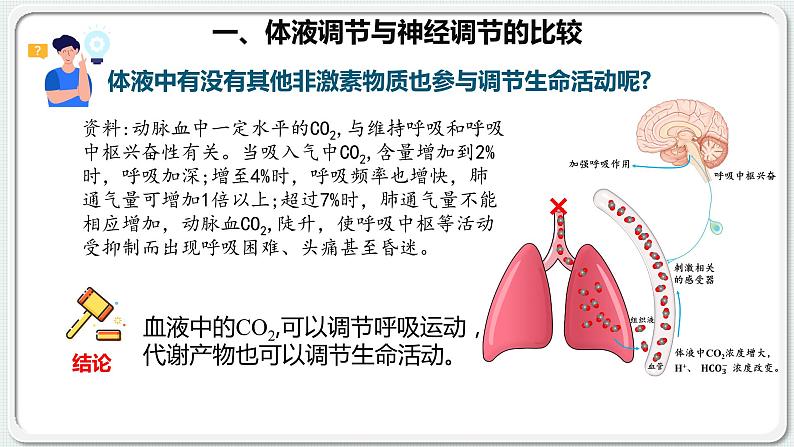 第三章：第3节：体液调节与神经调节的关系课件高中生物人教选择性必修一第5页