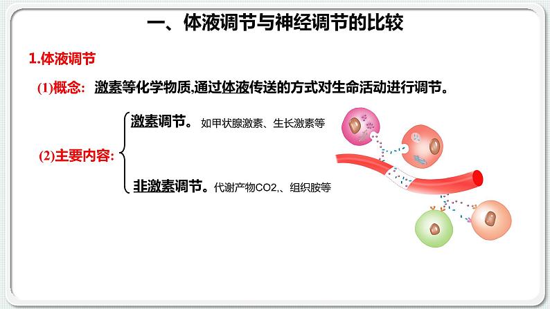 第三章：第3节：体液调节与神经调节的关系课件高中生物人教选择性必修一第6页