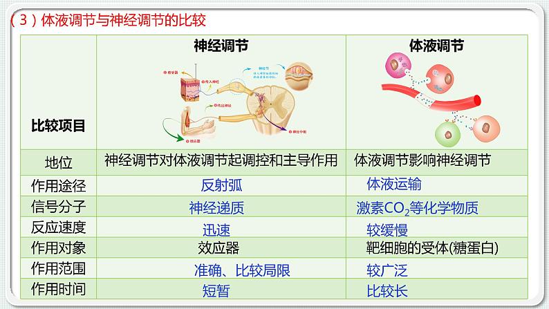 第三章：第3节：体液调节与神经调节的关系课件高中生物人教选择性必修一第7页