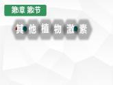 第五章：第2节：其他植物激素课件高中生物人教选择性必修一