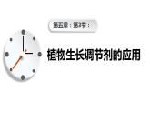 第五章：第3节： 植物生长调节剂的应用课件高中生物人教选择性必修一
