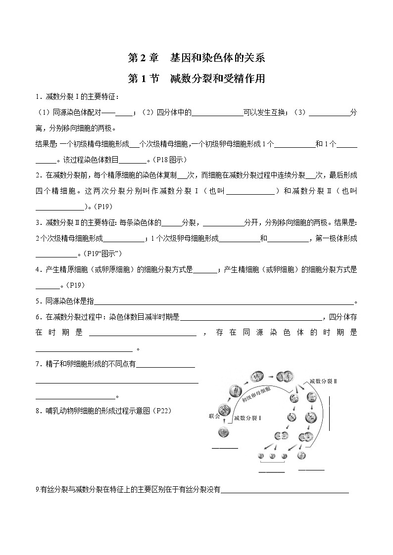 第2章 基因和染色体的关系- 备战2023年高考生物一轮复习知识清单（新教材）（填空版）第1页