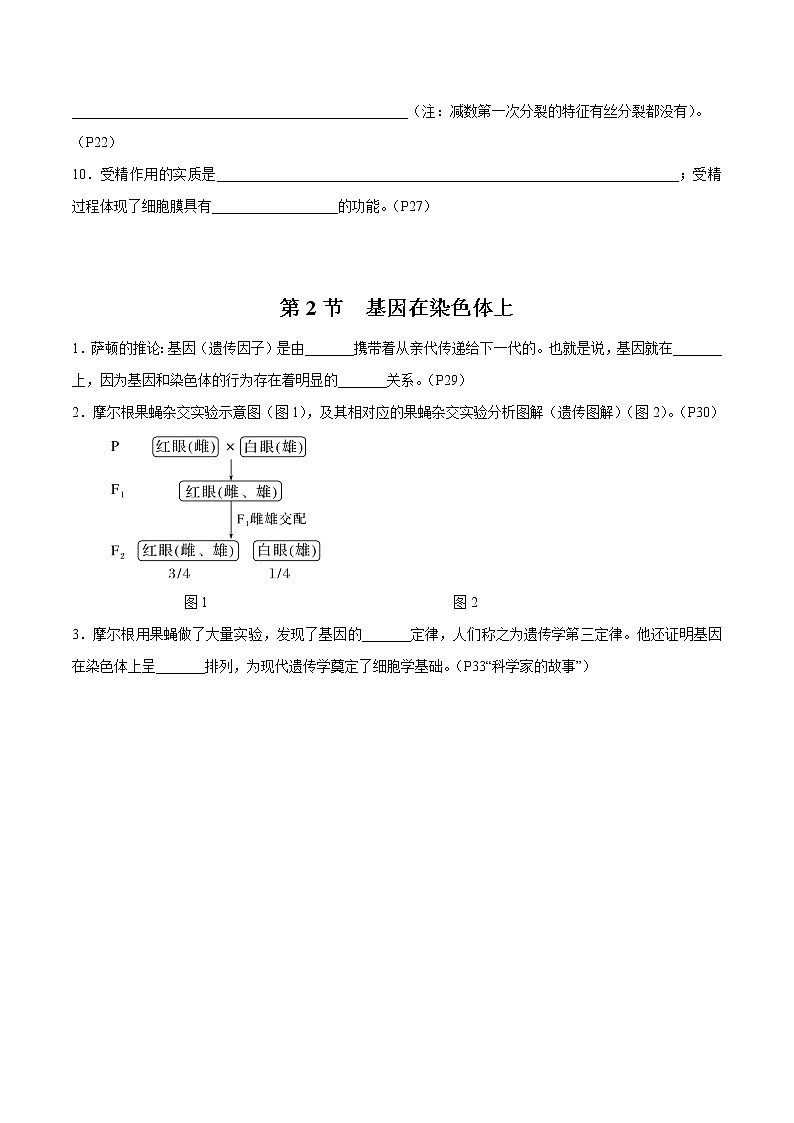 第2章 基因和染色体的关系- 备战2023年高考生物一轮复习知识清单（新教材）（填空版）第2页