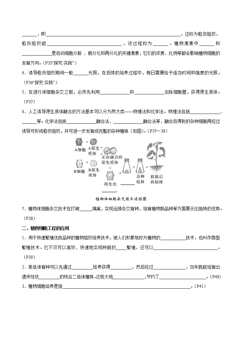 第2章 细胞工程- 备战2023年高考生物一轮复习知识清单（新教材）（填空版）第2页