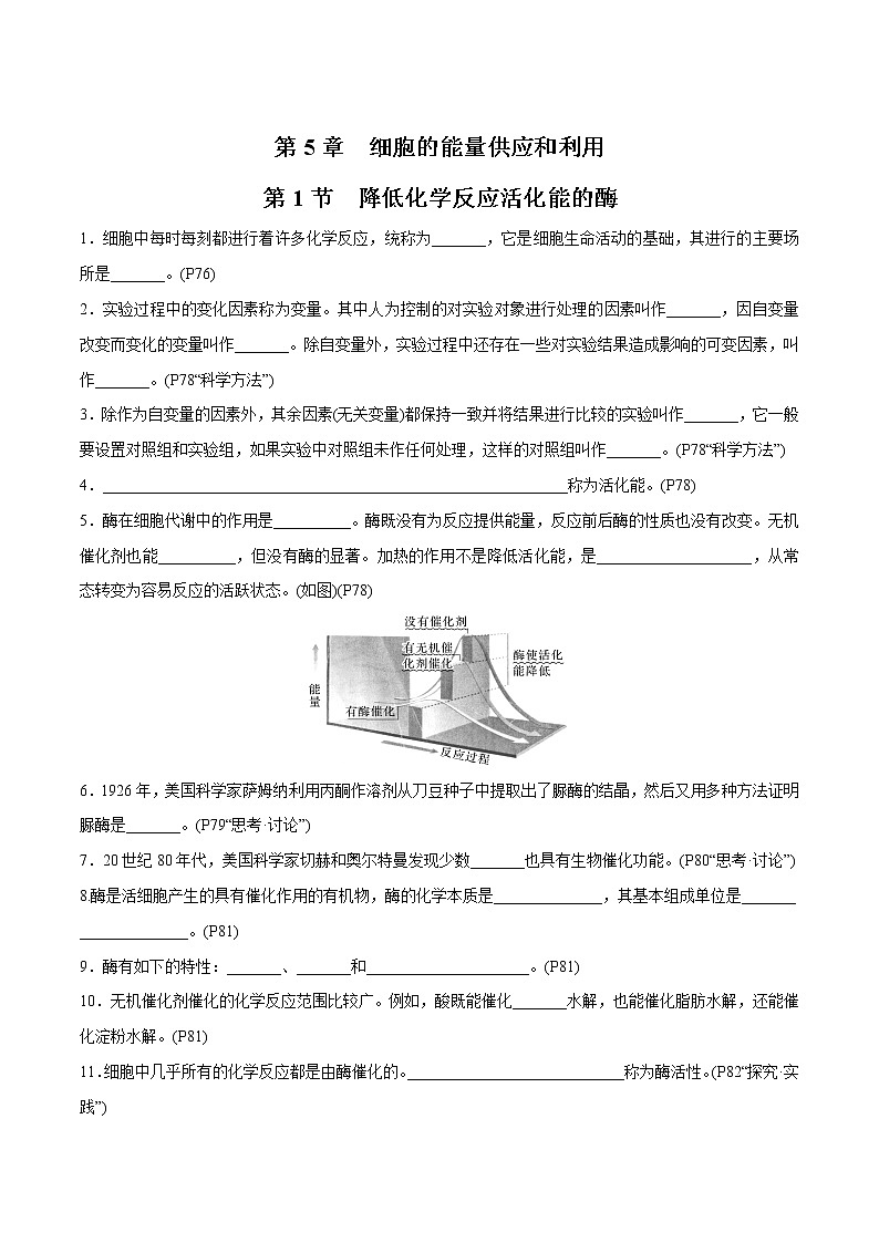第5章 细胞的能量供应和利用- 备战2023年高考生物一轮复习知识清单（新教材）（填空版）第1页