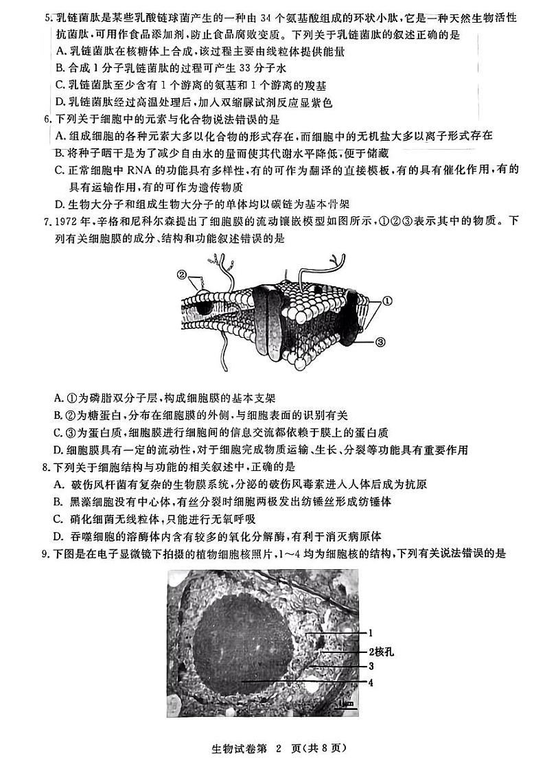 湖北省黄冈市2022-2023学年高三上学期9月调研考试生物试题第2页