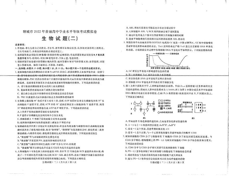 山东省聊城市2022年普通高中学业水平等级考试模拟卷（二）  生物试题  PDF版含答案第1页