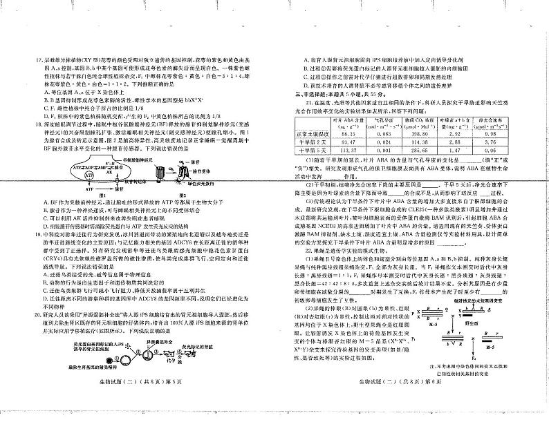 山东省聊城市2022年普通高中学业水平等级考试模拟卷（二）  生物试题  PDF版含答案第3页