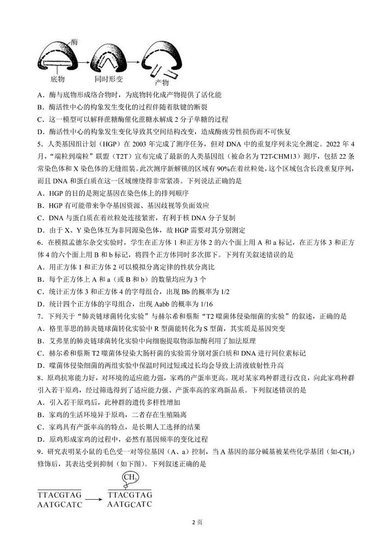 2023届山东省高三上学期9月开学摸底联考生物试卷（PDF版）02