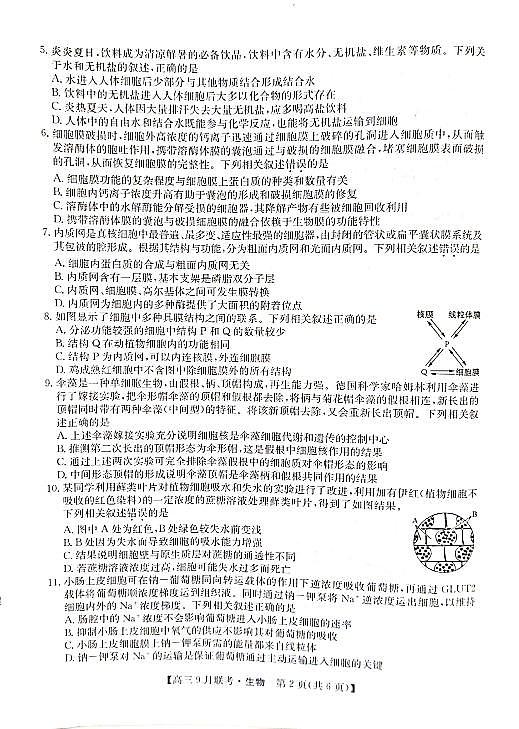 2022安康高三上学期9月联考生物试题扫描版含解析02