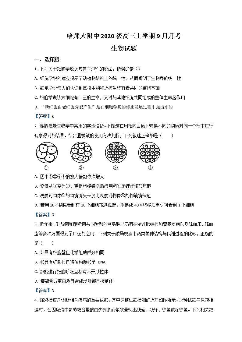 2023省哈尔滨师大附中高三上学期9月月考生物试题含答案第1页