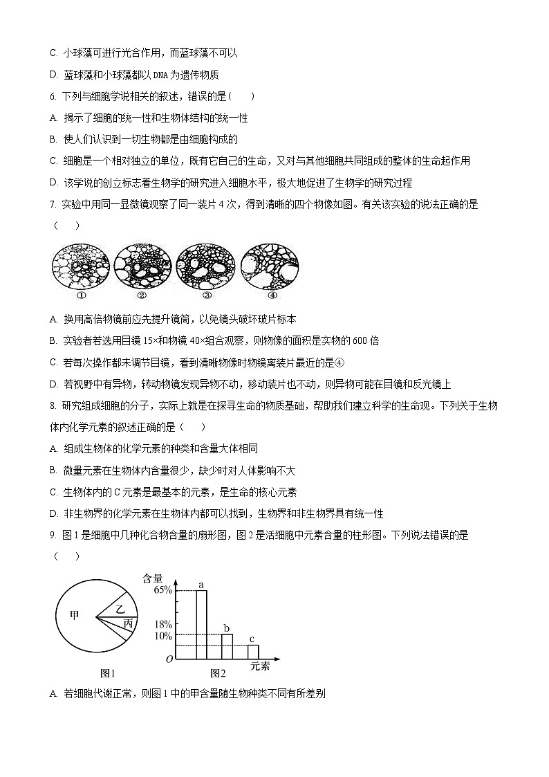 2022滨州邹平黄山中学高一上学期第一次月考生物试题02