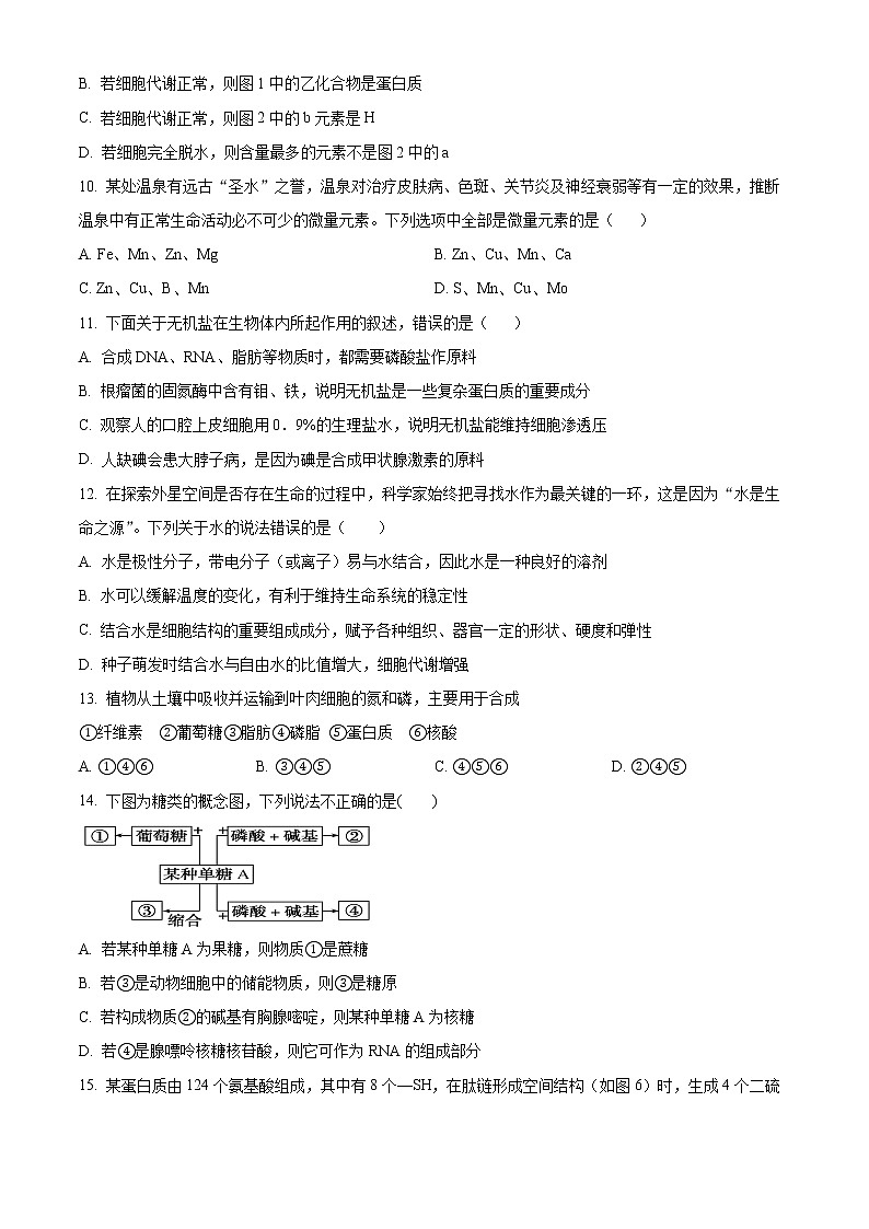 2022滨州邹平黄山中学高一上学期第一次月考生物试题03