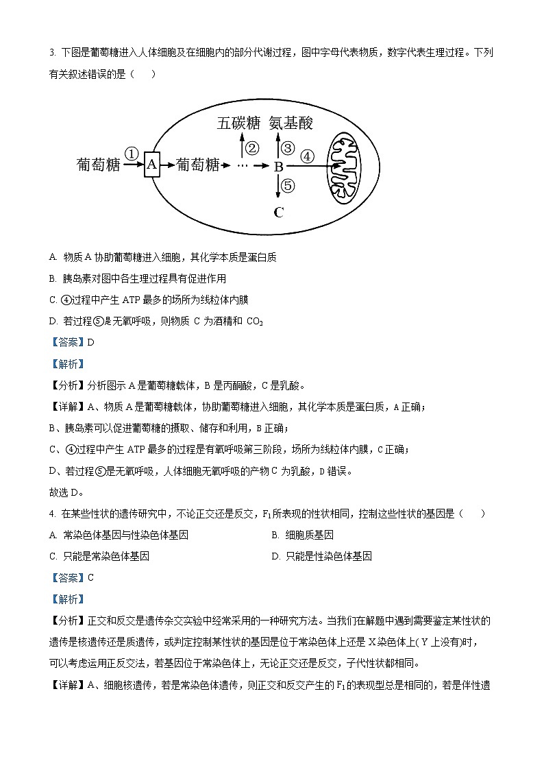 2022天津和平区高三上学期期末生物试题含答案02