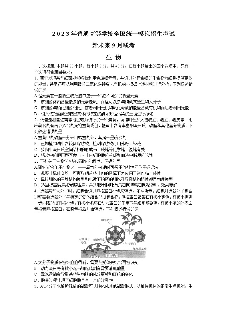 2023届河南省新未来高三上学期9月联考生物试题word版无答案第1页