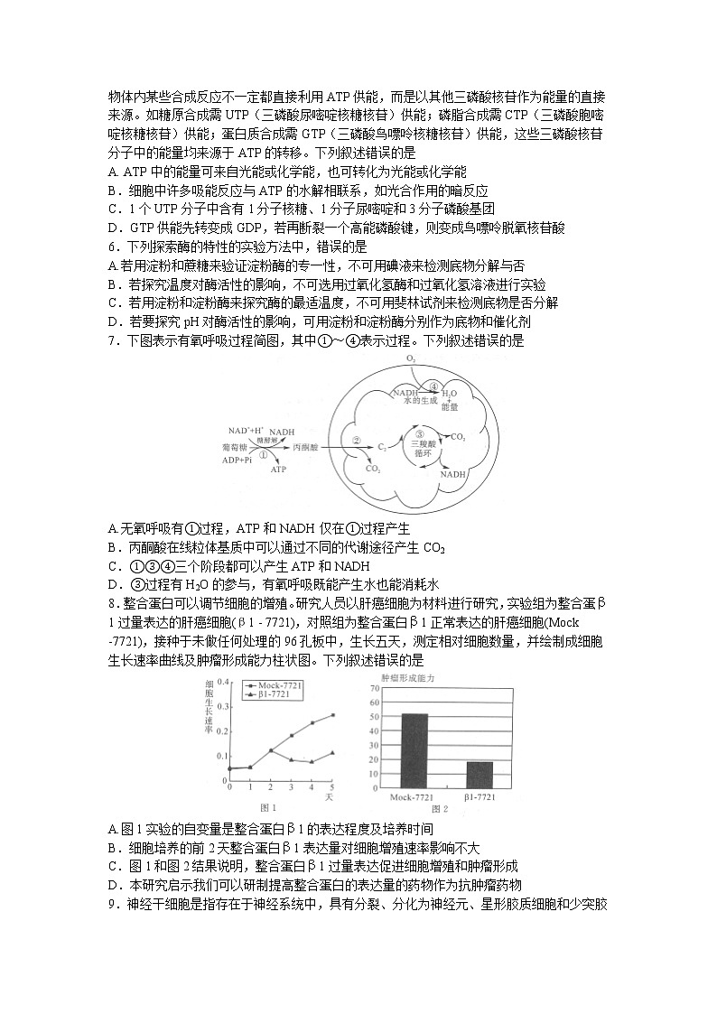 2023届河南省新未来高三上学期9月联考生物试题word版无答案第2页