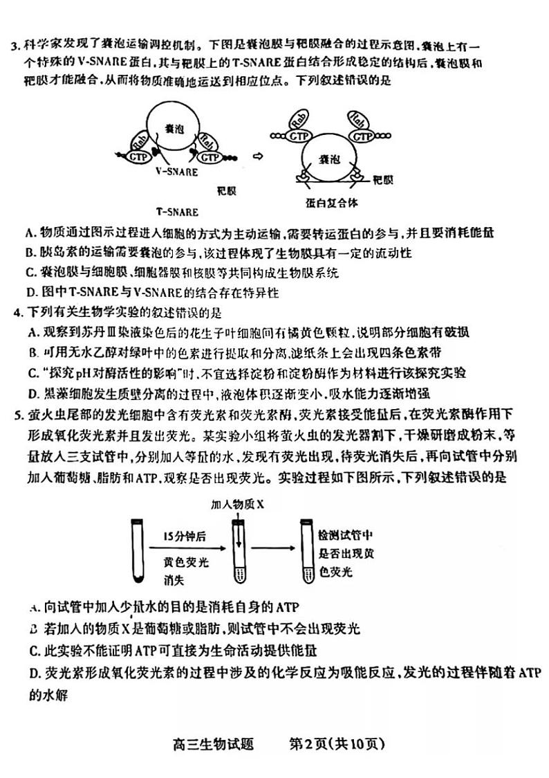生物第2页