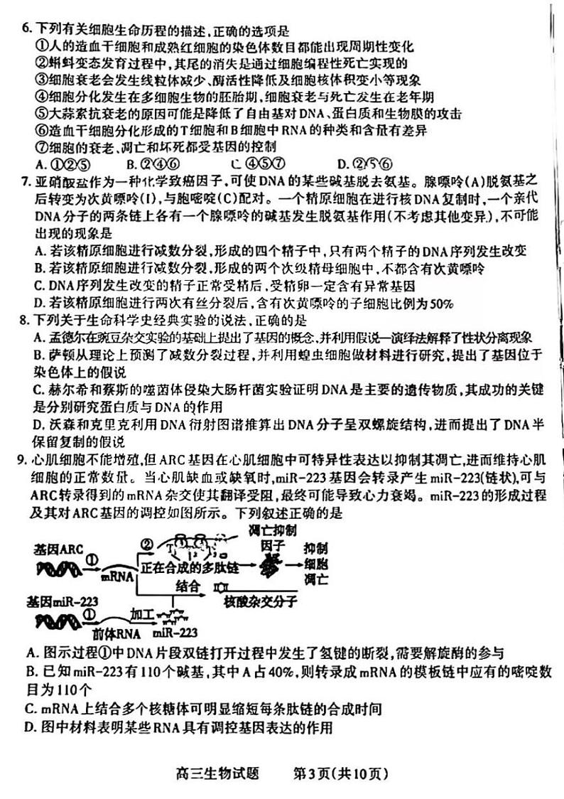 生物第3页