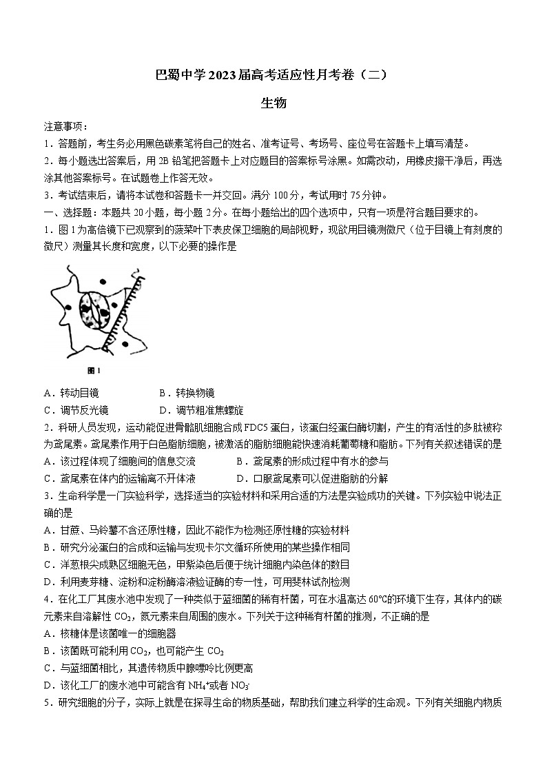 2023重庆市巴蜀中学高三上学期适应性月考（二）生物含答案第1页