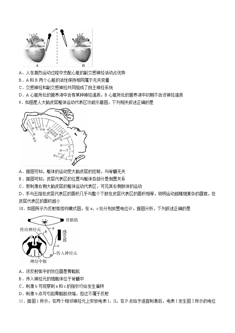 2023河南省豫北名校高二年级上学期9月教学质量检测生物wrod版含答案第3页