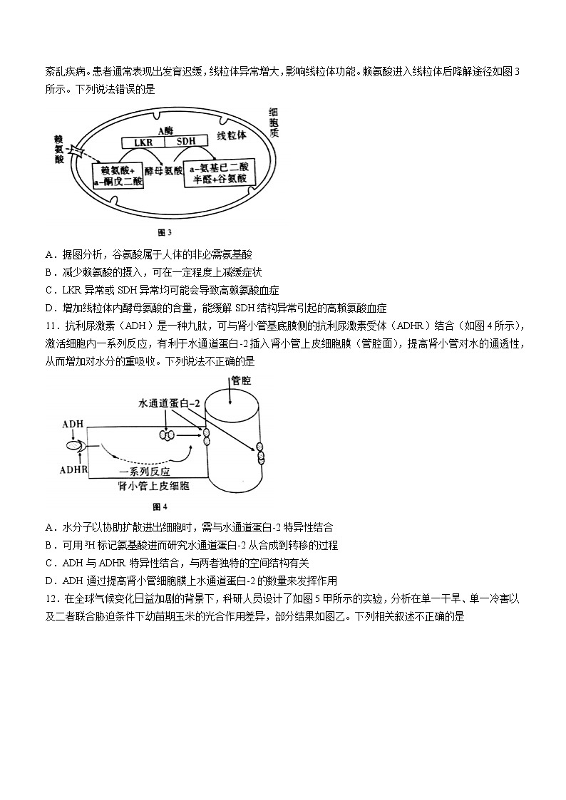 2023重庆市巴蜀中学高三上学期适应性月考（二）生物含答案 试卷03