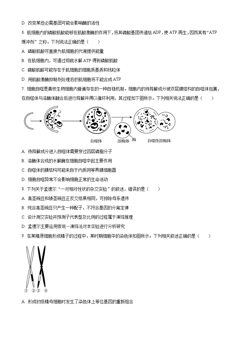 2023山东省名校联盟高三上学期第一次学业质量联合检测生物试题含答案03