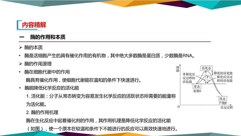 配套新教材高中生物学RJ必修1-5.1《降低化学反应活化能的酶》课件PPT第7页