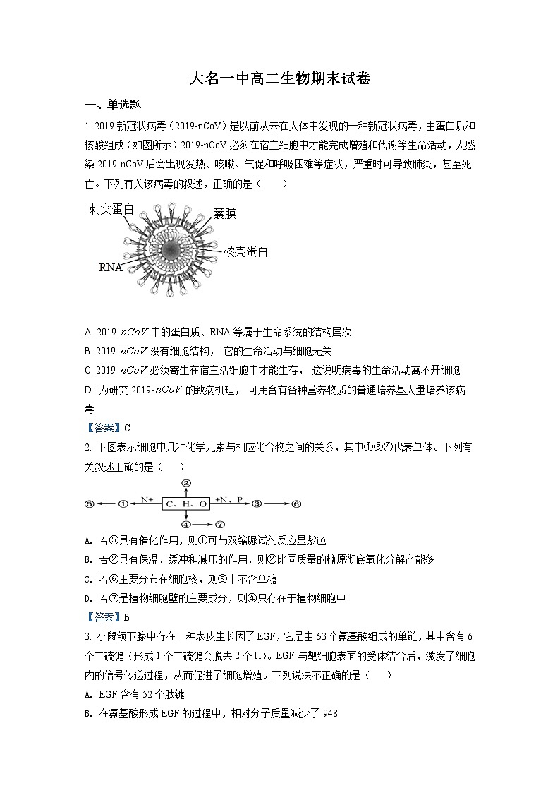 2022邯郸大名县一中高二下学期期末考试生物试题含答案第1页