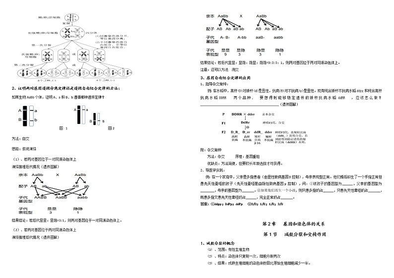 （首版）生物必修二   知识归纳（2019版）第3页