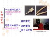 5.1基因突变和基因重组课件2021-2022学年高一下学期生物人教版必修2