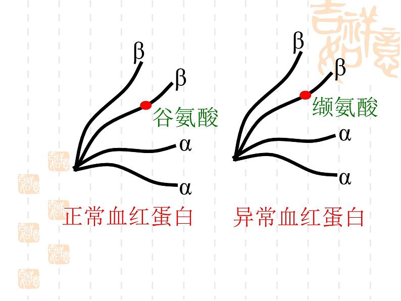 5.1基因突变和基因重组课件2021-2022学年高一下学期生物人教版必修2第6页