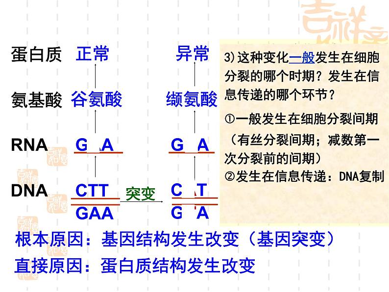 5.1基因突变和基因重组课件2021-2022学年高一下学期生物人教版必修2第7页