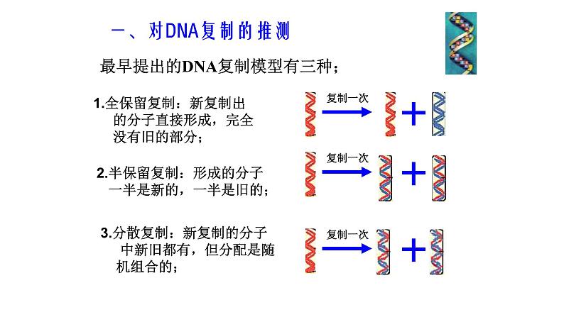 3.3 DNA的复制 -【探究课堂】高一生物同步优质课件（人教版2019必修2）第3页